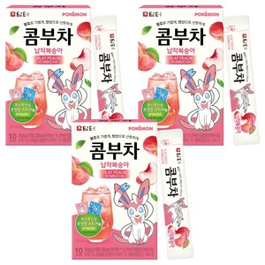 담터 포켓몬 납작복숭아 콤부차