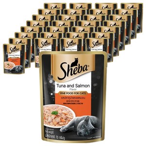 쉬바 1세이상 고양이 주식 파우치, 연어+참치, 70g, 48개