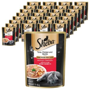 쉬바 어덜트 고양이 주식파우치, 닭+참치, 70g, 48개