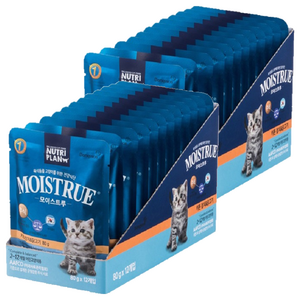 동원뉴트리플랜 고양이 모이스트루 주식파우치, 닭+참치, 80g, 24개