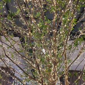 와이어 폭죽 줄조명 6m 200구 2p, 옐로우, 1개