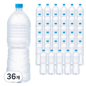 탐사 샘물 무라벨, 2L, 36개