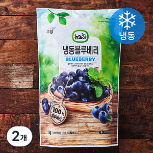 뉴뜨레 칠레산 블루베리 (냉동), 1kg, 2개