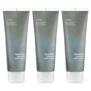 이즈앤트리 머그워트 카밍 클레이 마스크 100ml, 1개입, 3개