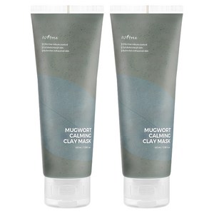 이즈앤트리 머그워트 카밍 클레이 마스크 100ml, 1개입, 2개