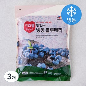 이츠웰 칠레산 블루베리 (냉동), 1kg, 3개