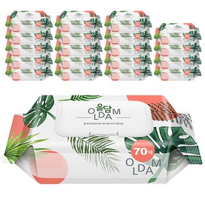 [비건라이프] 올담 몬스테라 아기 물티슈 캡형, 60g, 70매, 20개