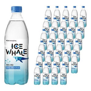 광동제약 아이스웨일 플레인 제로 탄산수, 500ml, 100개