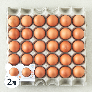 무항생제 신선 대란 1.56kg, 30구, 2개