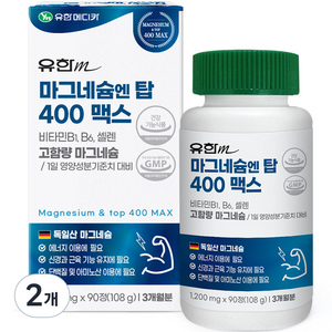 유한메디카 마그네슘 엔 탑 400 맥스 108g, 90정, 2개