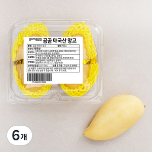 곰곰 태국산 망고, 700g, 6개