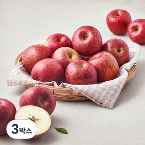 영주마실 못난이 사과 소과 23~30개입, 4.5kg, 3박스