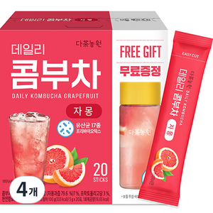 다농원 데일리 콤부차 자몽
