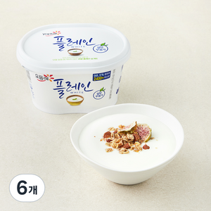 빙그레 요플레 플레인 화이트, 430g, 6개