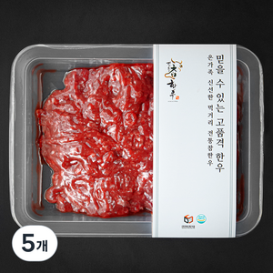 전통참한우 1등급 다짐육 (냉장), 250g, 5개