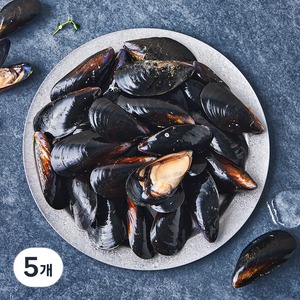 아라보감 산지직송 생물 홍합 (냉장), 1kg, 5개