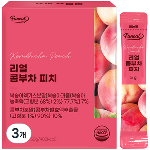 퍼니트 리얼 콤부차 피치맛, 150g, 3개