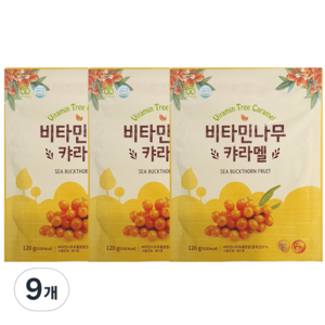 하이투데이 비타민 나무 캬라멜, 120g, 9개