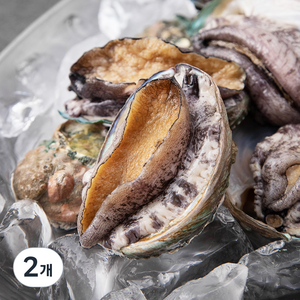 아라보감 산소 품은 국산 전복 500g, 500g(중,8-1..., 2개