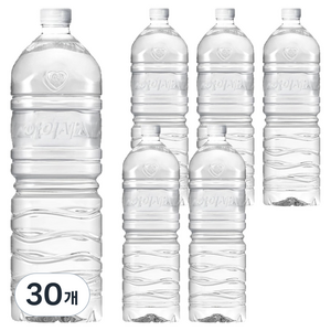 아이시스 생수 화이트캡 무라벨, 2L, 30개