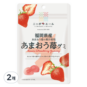닛폰에일 후쿠오카 아마오우딸기 구미, 40g, 2개