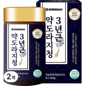 참앤들황토농원 3년근 약도라지청, 250g, 2개