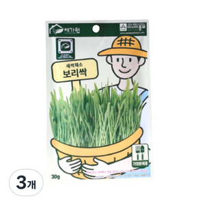 채가원 보리싹 캣그라스, 보리, 30g, 3개