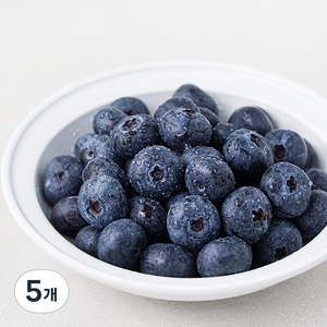 곰곰 국내산 블루베리 100g(대), 100g, 5개