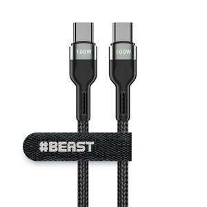 샵비스트 C to C 100W QC 4 PD 초고속 충전 직조방식 케이블