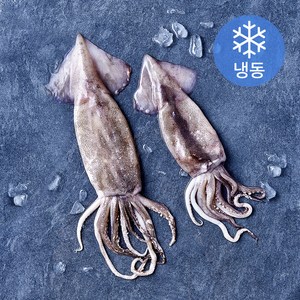 비비수산 살아있을때 깔끔하게 손질한 통오징어 (냉동)