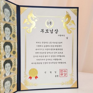 이플린 부모님 생신 어버이날 선물 용돈상장 + 돈보호 필름 세트, 02_1등 부모님상, 22 * 31 CM, 1세트