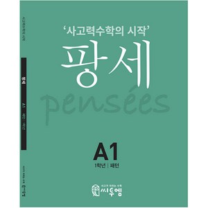 팡세 A-1 패턴, 씨투엠에듀