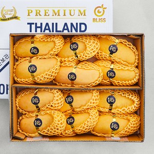 이웃마을 태국산 마하차녹 망고, 3.8kg(12~1..., 1개