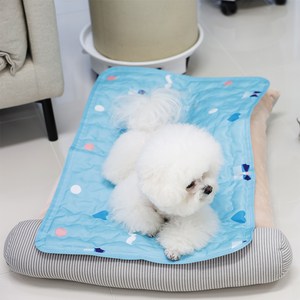 마이또 반려동물 러브 시리즈 쿨매트, 블루, 중형(70 x 45..., 1개