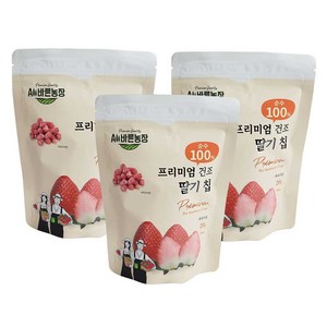 올바른농장 프리미엄 동결건조과일 딸기 칩, 20g, 3개