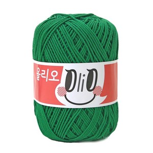 니뜨 올리오 뜨개실 70g, 759 그린, 1개