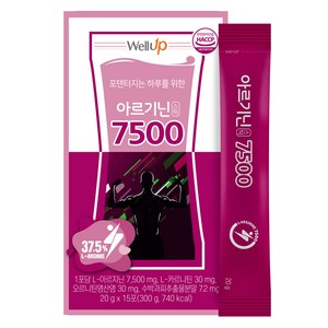 웰업 아르기닌 7500 스틱 15p, 300g, 1세트