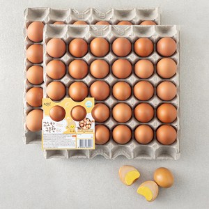 성원 고소한 구운란 2.7kg, 60구, 1개