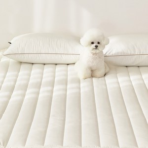 마틸라 디어펫 M2워셔 고정밴드 침대패드, 클라우드