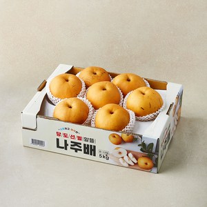 다복 당도선별 알뜰 나주배, 5kg(6~12입), 1개
