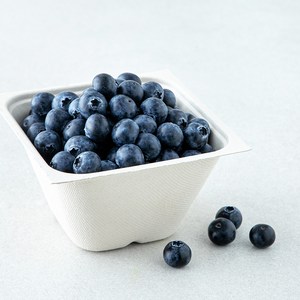 아주마 GAP 인증 산지직송 인디고 블루베리, 250g, 1개