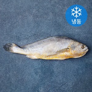 제주어부 청보리 부세조기 (냉동), 220g, 1개