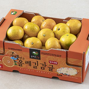 GAP 해풍맞은 올레길 Ai선별 당도선별 11bix 감귤, 2kg(로열과), 1개