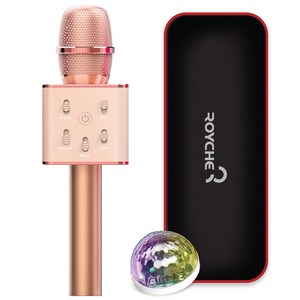 로이체 무선 휴대용 블루투스 노래방 마이크 + 미러볼 + 파우치 세트