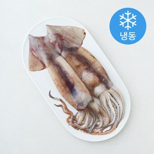 위드프레쉬 손질 통오징어 (냉동), 320g, 1개