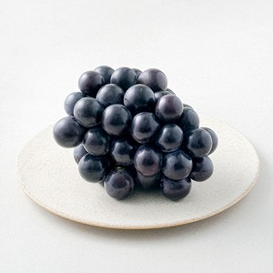 모아바이오팜 거봉포도, 600g, 1개