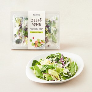 팜에이트 오늘하루 샐러드 3개입, 300g, 1개