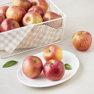 영주마실 못난이 사과 소과 15~21개입, 3kg, 1개