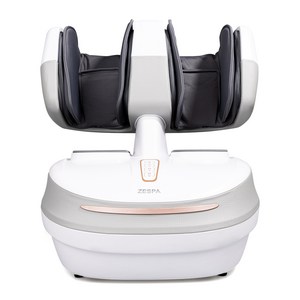 제스파 블레니스 마사지기