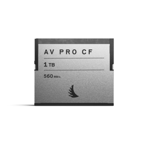 앤젤버드 AV PRO 메모리카드 CFast 2.0, 1TB, 1개